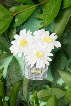 Best Day's Eye Broche Vrouwen Sieraden