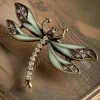 Hoe U Uw Dragonfly-Broche Kunt Trainen Vrouwen Sieraden