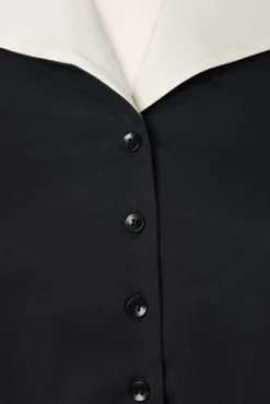 Hot Taylor Swing Jurk In Zwart Vrouwen Plus Size Jurken